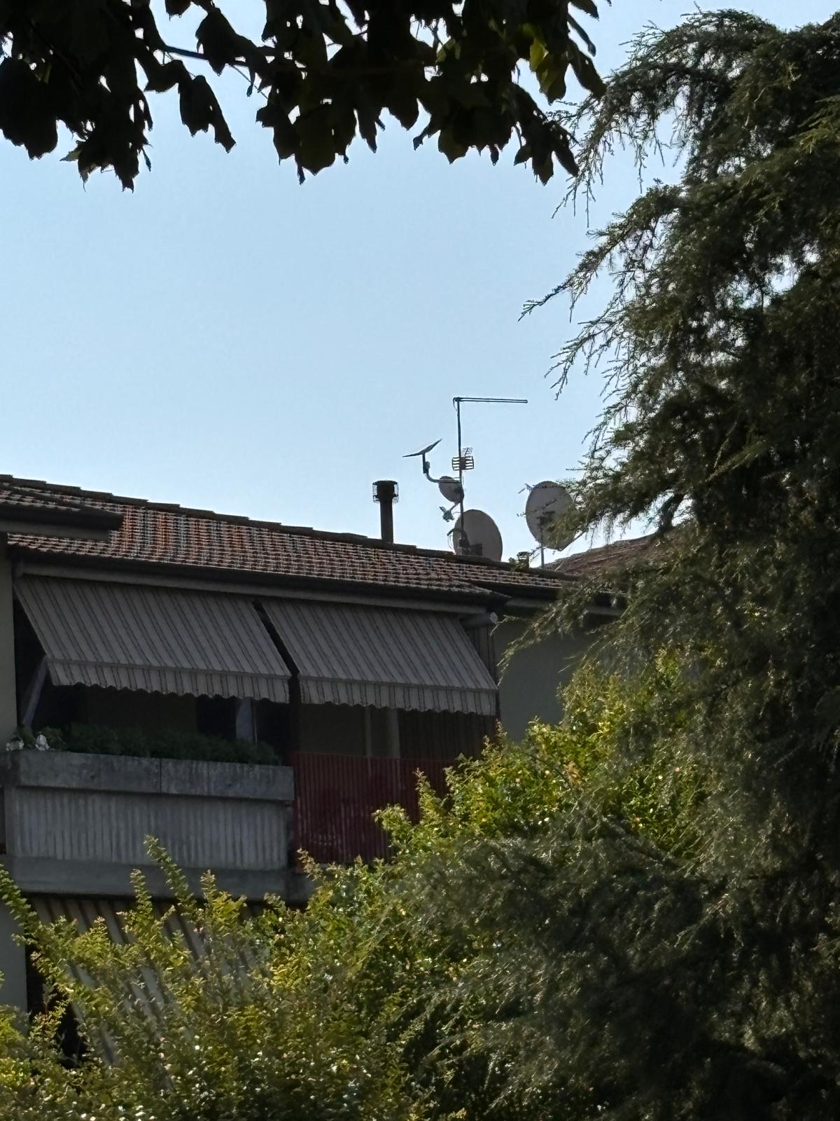 installazione starlink bergamo installazione starlink bergamo